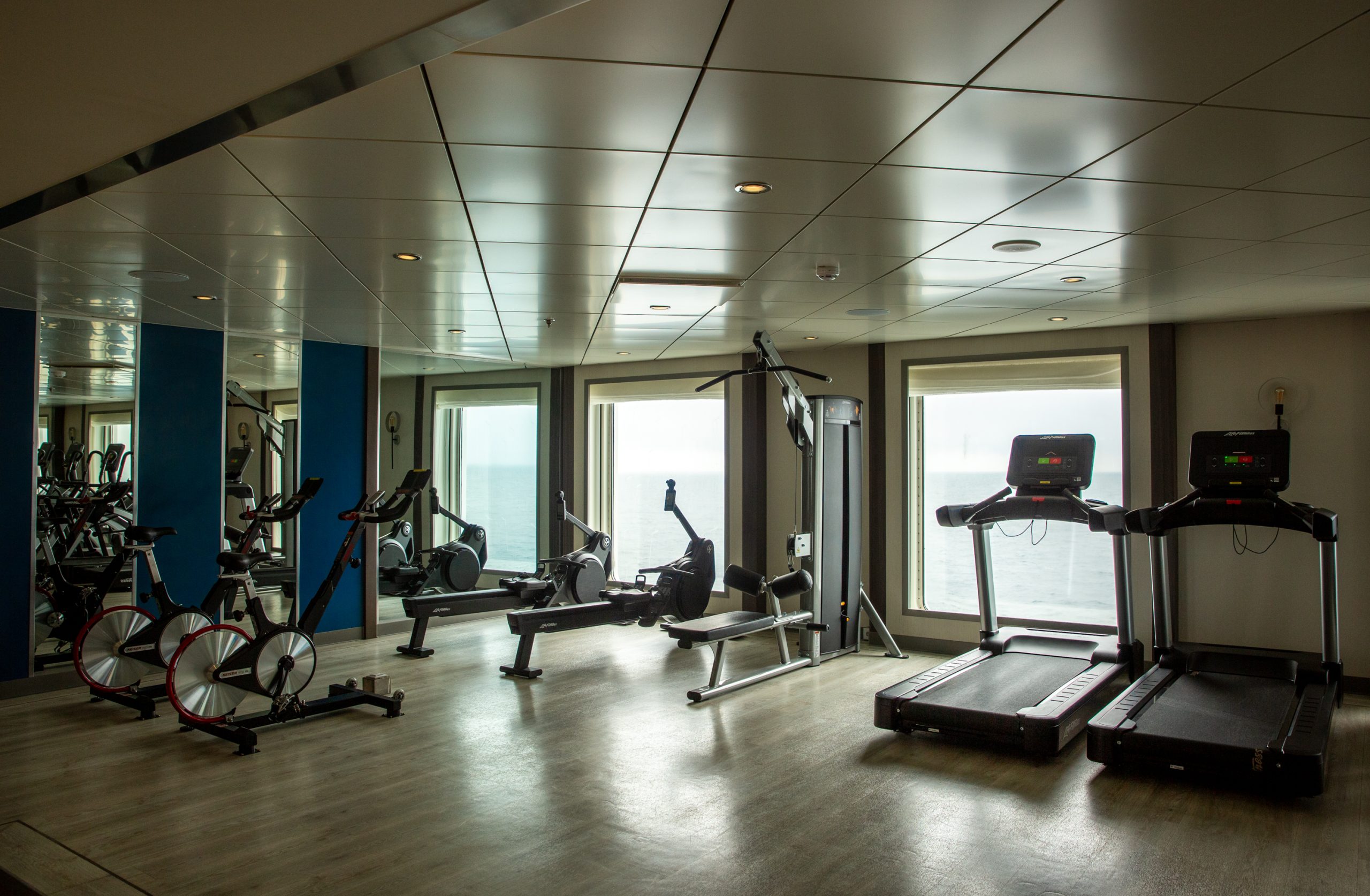 The Gym, Sylvia Earle, Pia Harboure