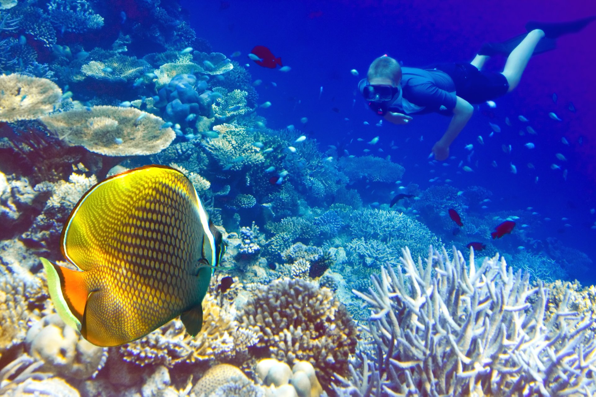 maldives-1