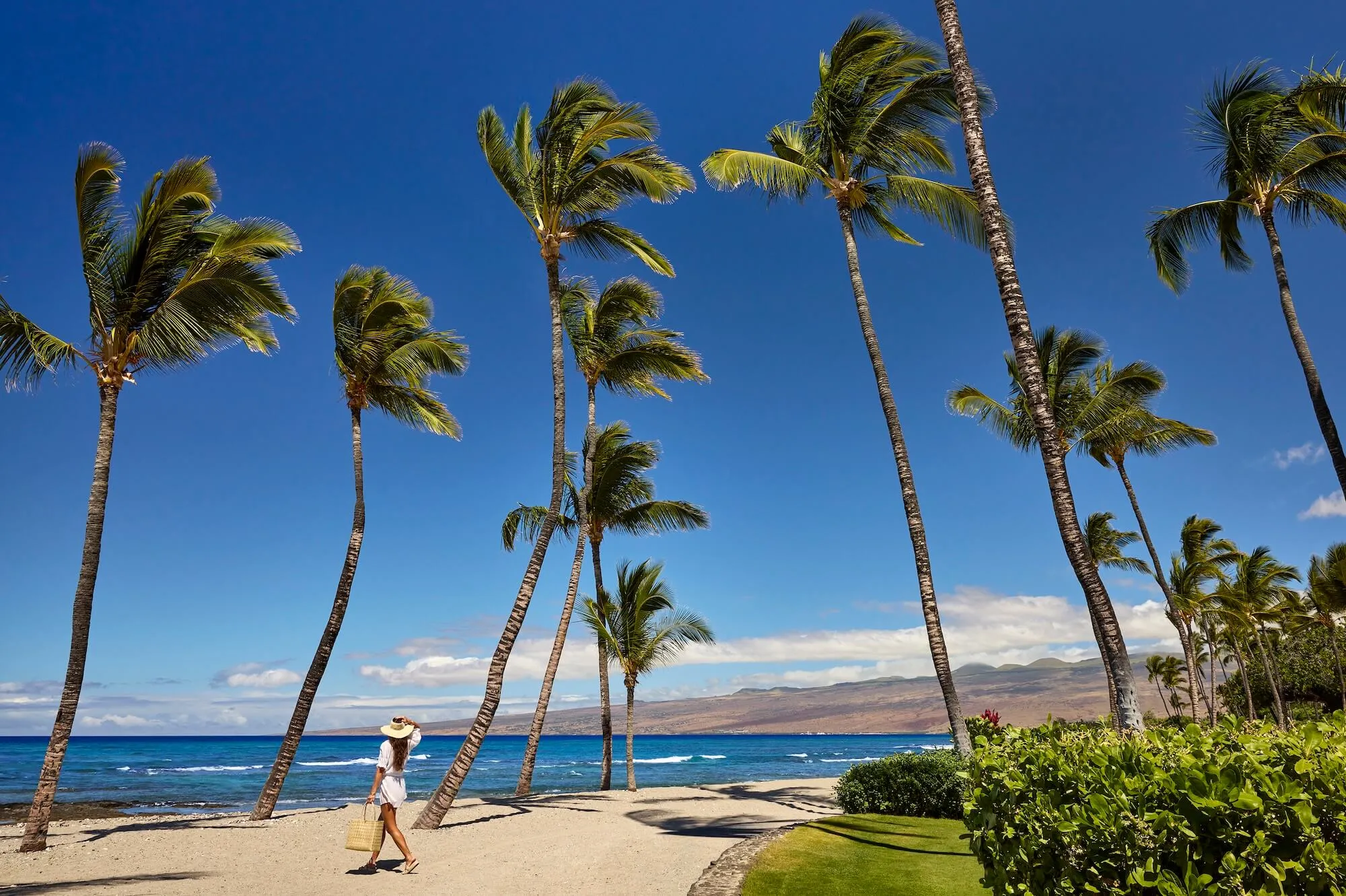 Resort_Gallery_MNL_Lifestyle_Beach-Club-Halau