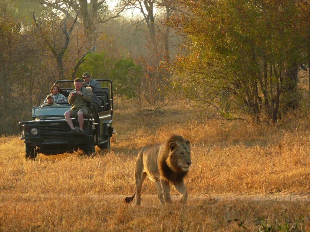 Umkumbe-Safari-Lodge-29-1024×768-1