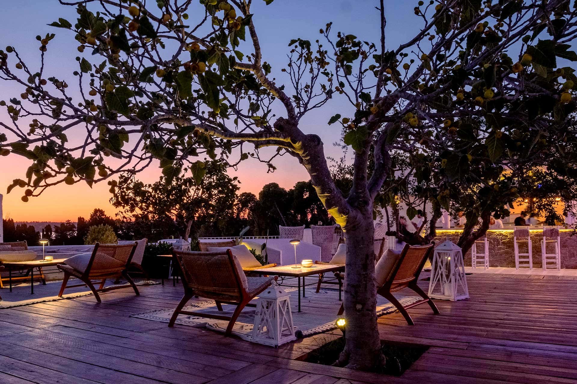 La Limonaia by night Baglioni Masseria Muzza Gallery